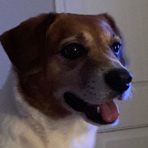 Meet your Posher, Kellie